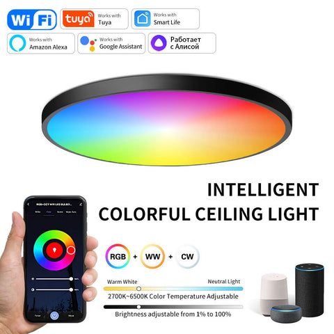 Graffiti WIFI Smart Ceiling Light Simple Colorful Bedroom Light